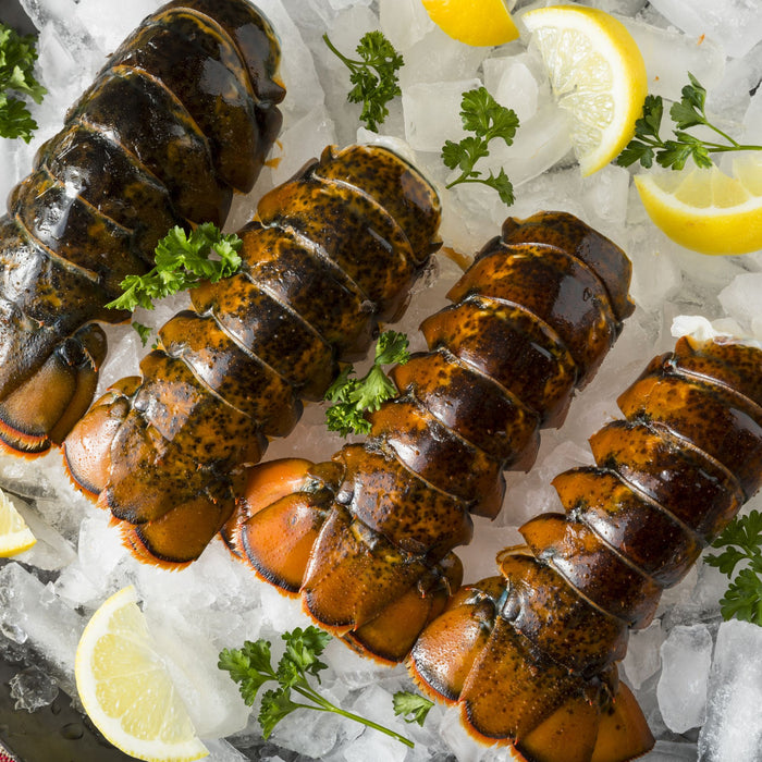 Maine Lobster Tails (4-Pack)