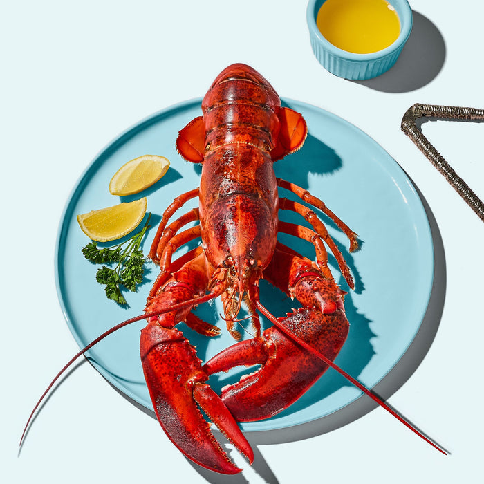 10 LB [Select] Boat Run Box (Live Maine Lobsters)