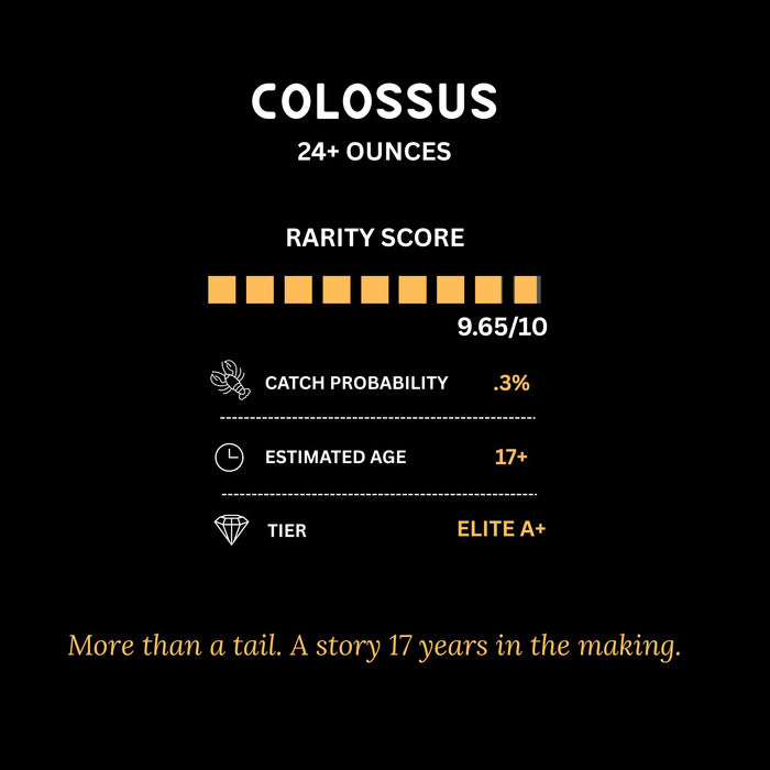 The Colossus 24+ Ounce Lobster Tail