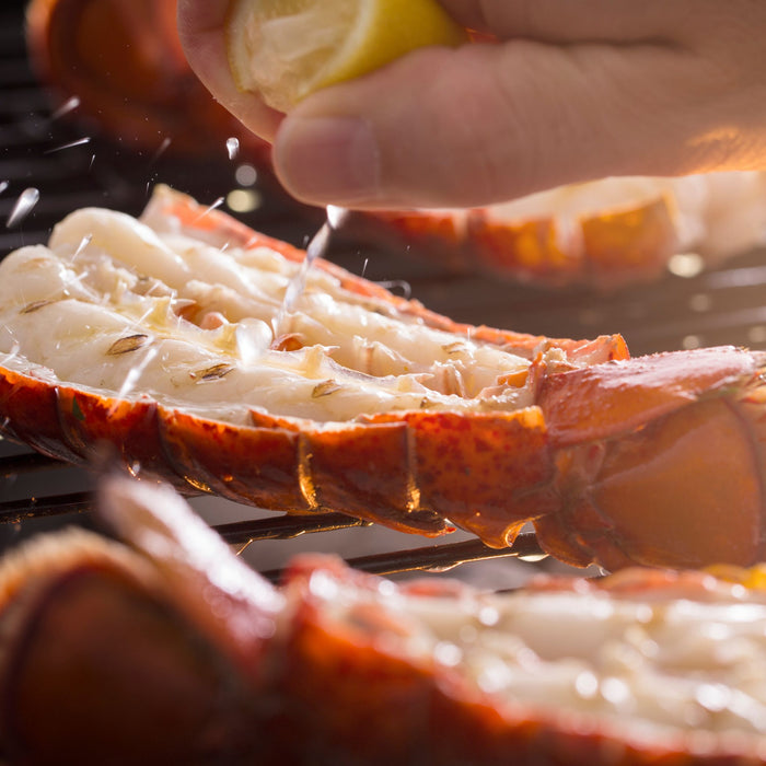 Little Luxury 3-4 oz Maine Lobster Tail