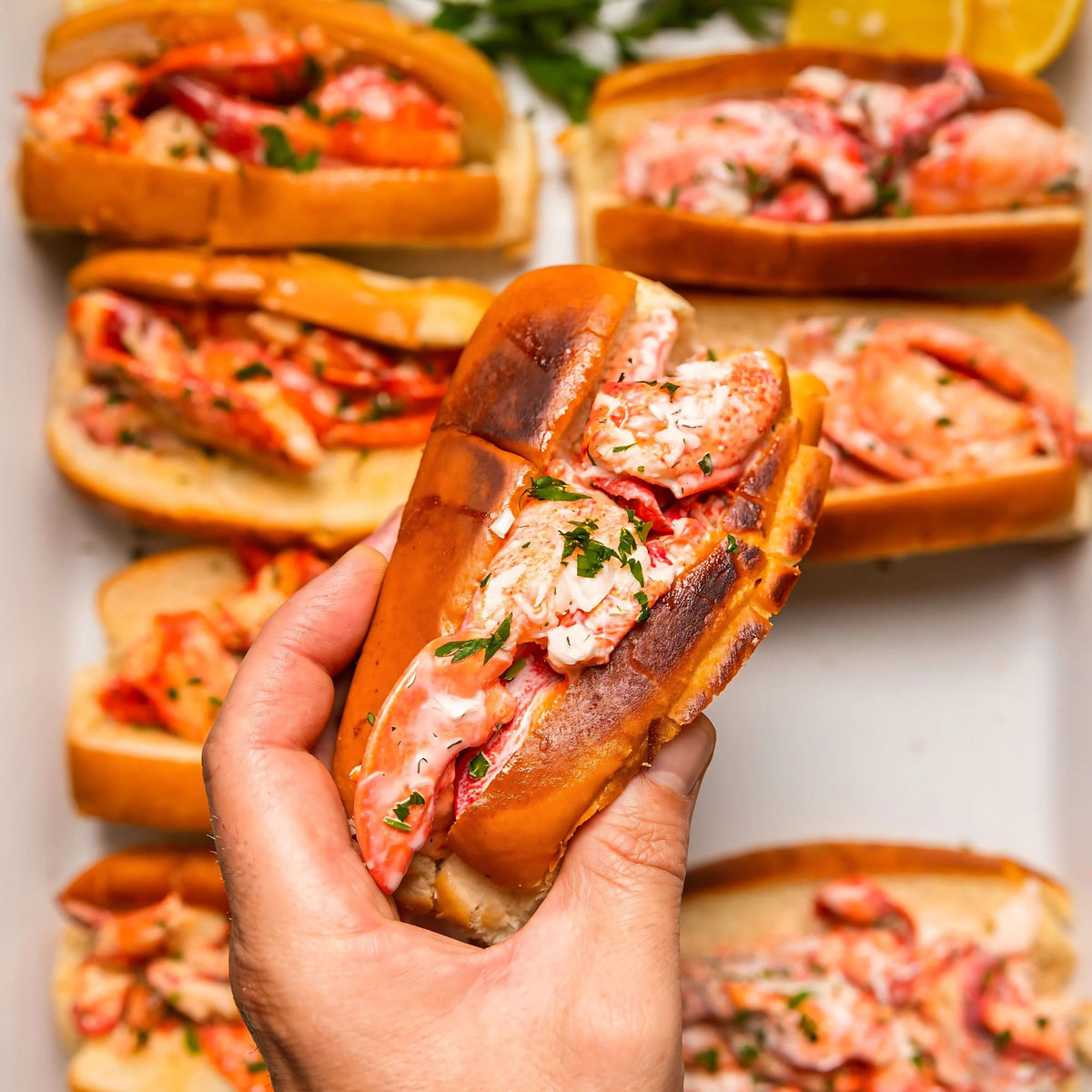 Freshly prepared Maine lobster rolls, filled with succulent lobster meat in a toasted bun, perfect for a classic seafood meal.