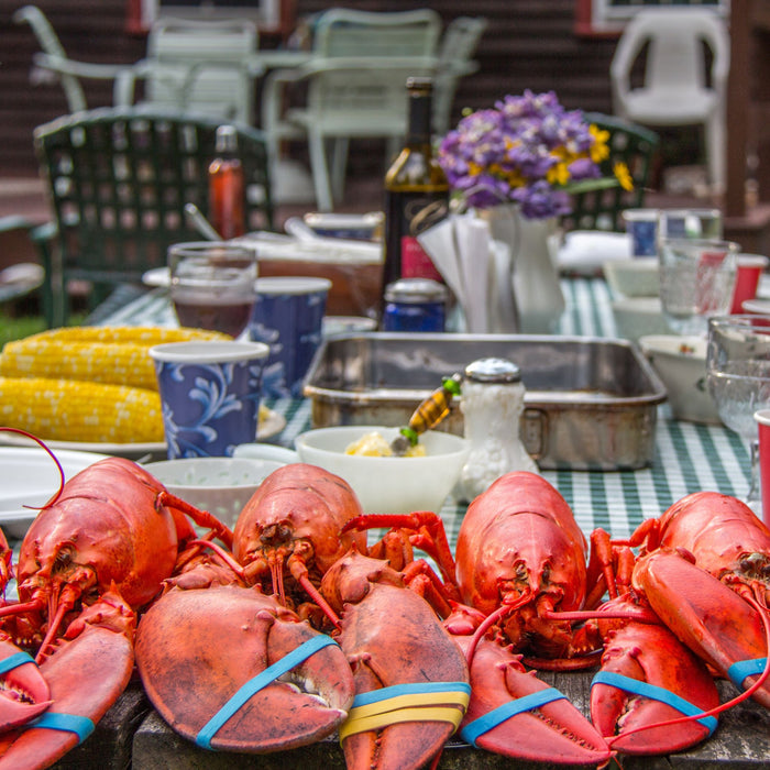 12 Live Maine Lobsters (1-1.2lbs)