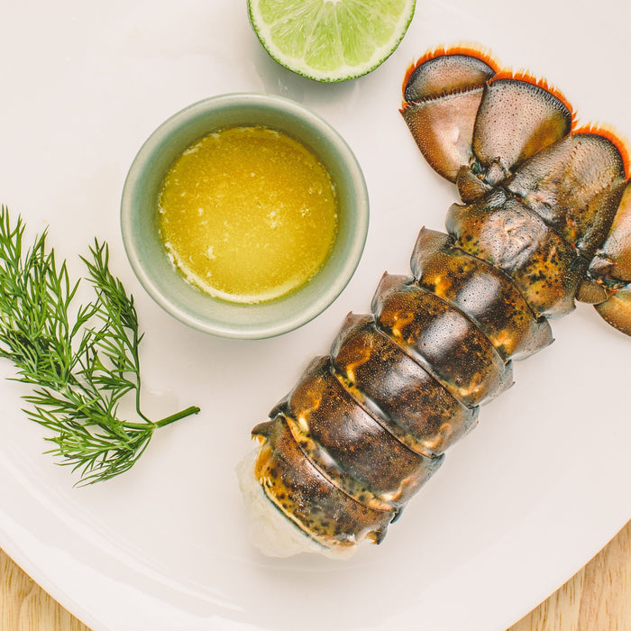 Royal 8-10 oz Maine Lobster Tail