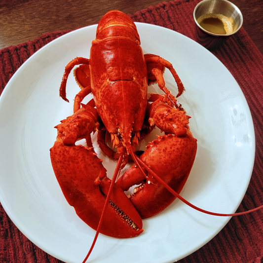 Buy 5 Fresh Maine Lobsters (Culls), Get 5 FREE + Free Shipping