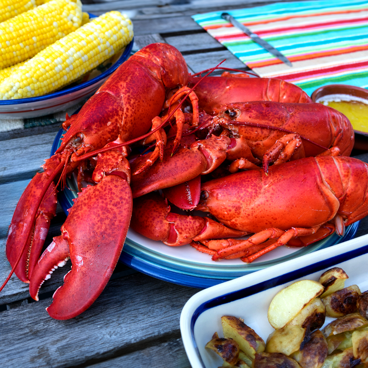 Freshly steamed Maine lobsters served with butter, roasted potatoes, and sweet corn on the cob for a classic New England seafood feast.