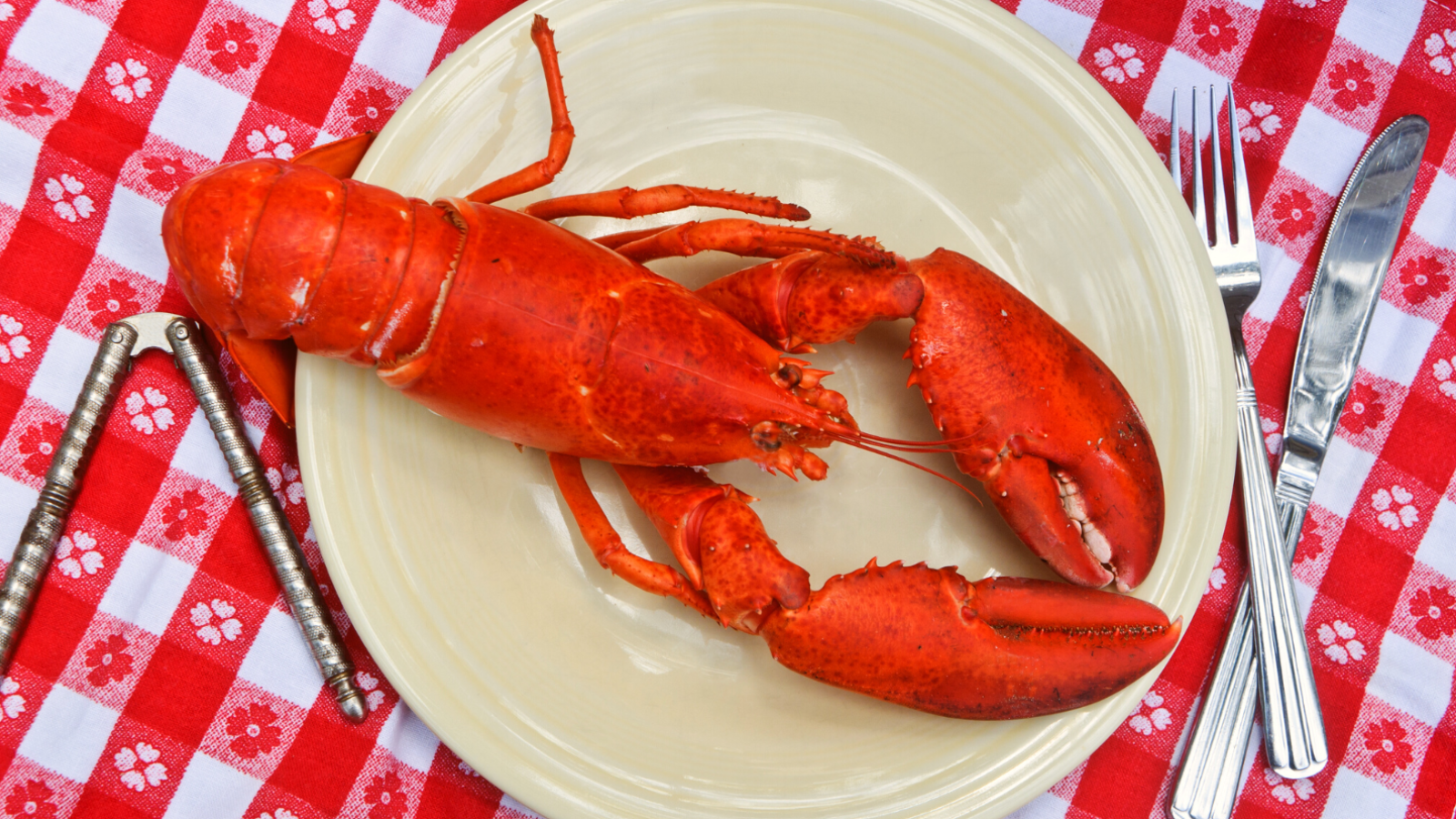 2 lb. Fresh Live Lobster