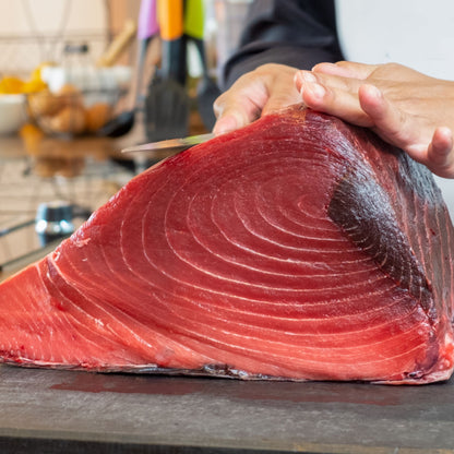 Gulf of Maine Bluefin Tuna