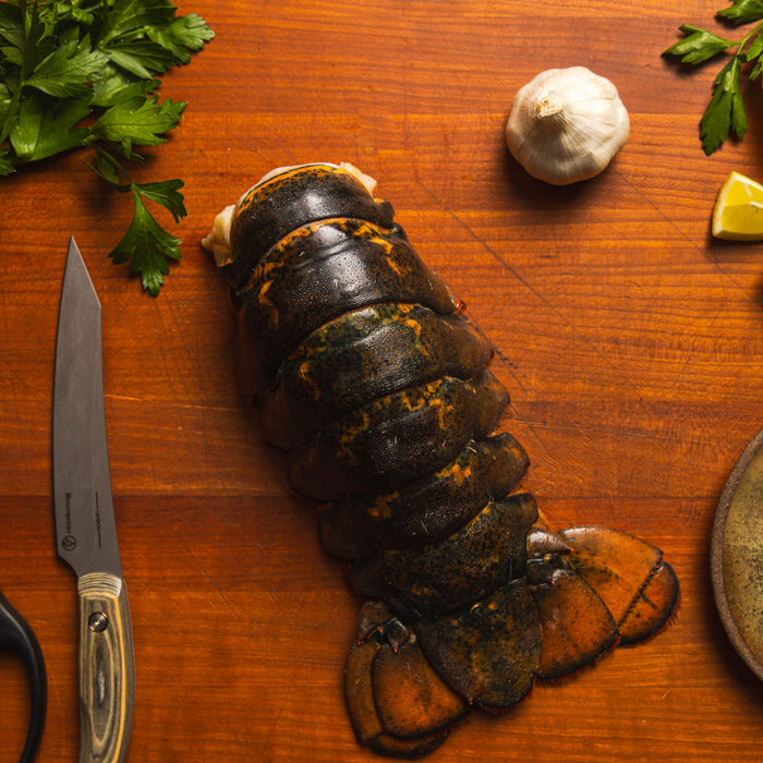 Regal 12-14 oz Maine Lobster Tail