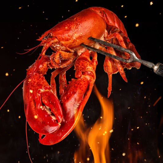 SPECIAL 4-PACK LIVE MAINE LOBSTERS  (1.21-1.45 LB) + FREE SHIPPING