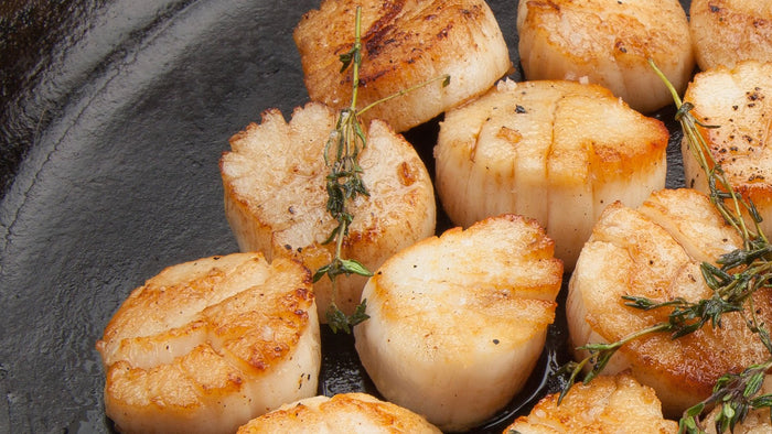 1lb Fresh Scallops