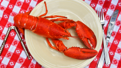 Succulent Wild-Caught Live Maine Lobster