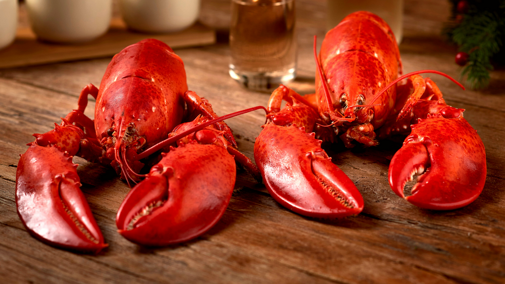 Two Live Maine Lobsters, shipped nationwide by Get Maine Lobster