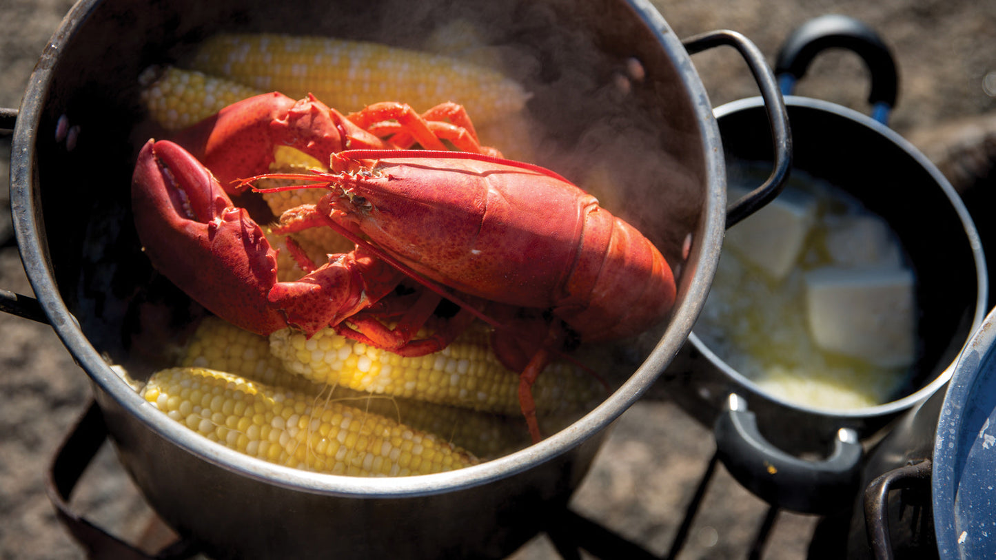 Succulent Wild-Caught Live Maine Lobster